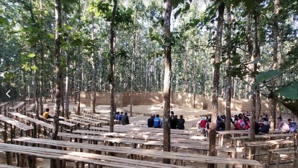Life Within: Discovering Your True Home Through Trees and Nature
