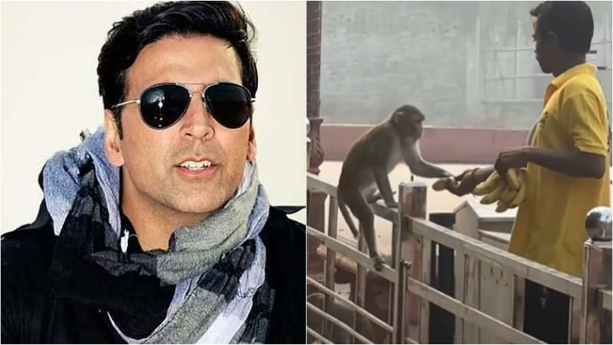 Akshay Kumar initiative to provide food for monkey of Ayodhya shares adorable video says Ek chhoti si koshish