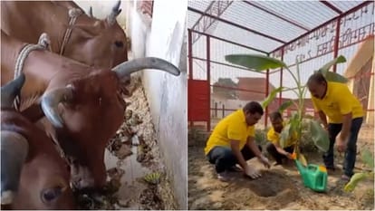Akshay Kumar initiative to provide food for monkey of Ayodhya shares adorable video says Ek chhoti si koshish