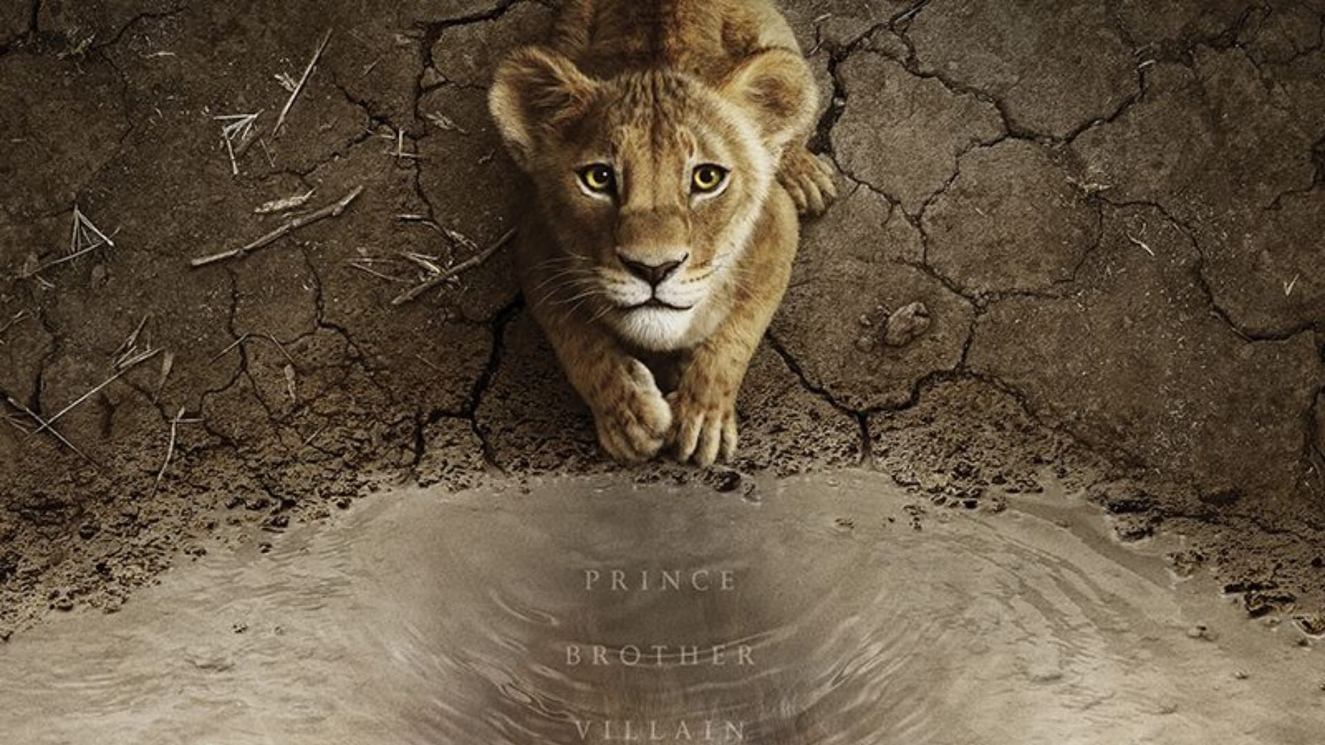Box Office Collection Report Tuesday Pushpa 2 The Rule Mufasa the Lion King Vanvaas