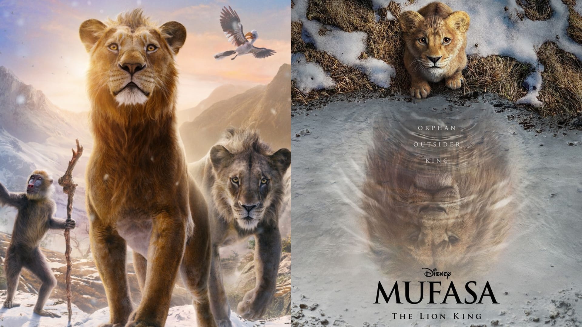Box Office Collection Report Friday Baby John Mufasa the Lion King Pushpa 2 the rule