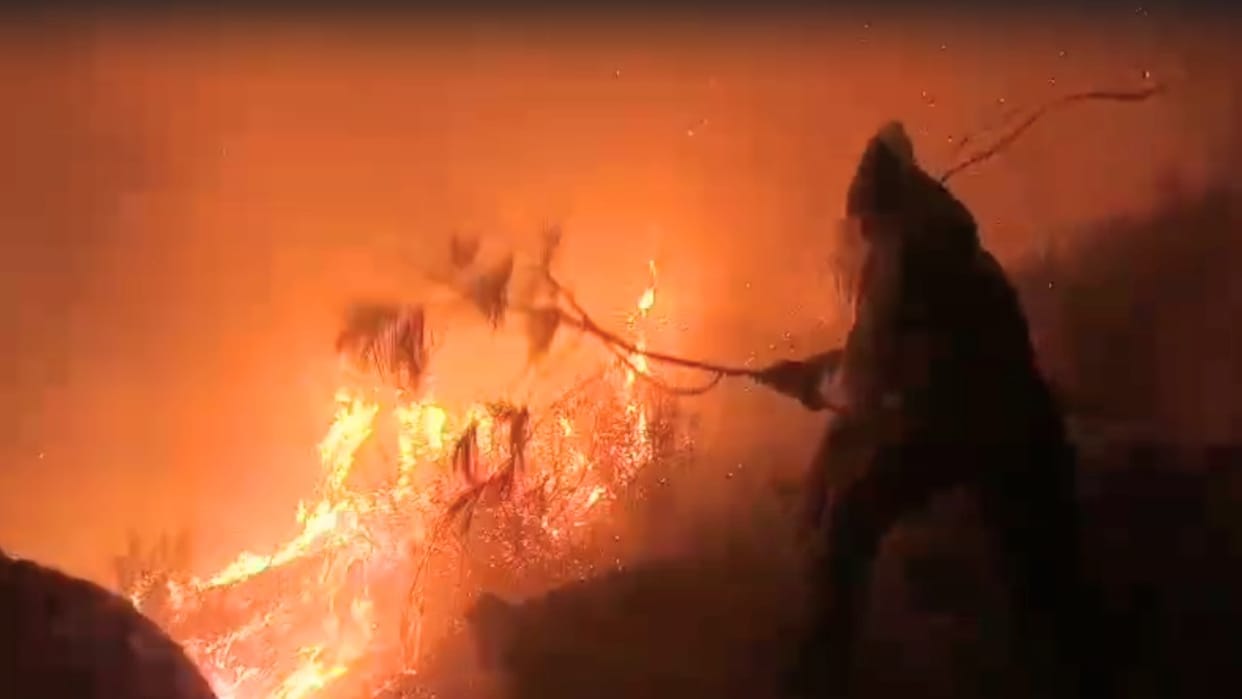 fire that broke out in the forest of Holi's Chanhota Panchayat reached near Jua village