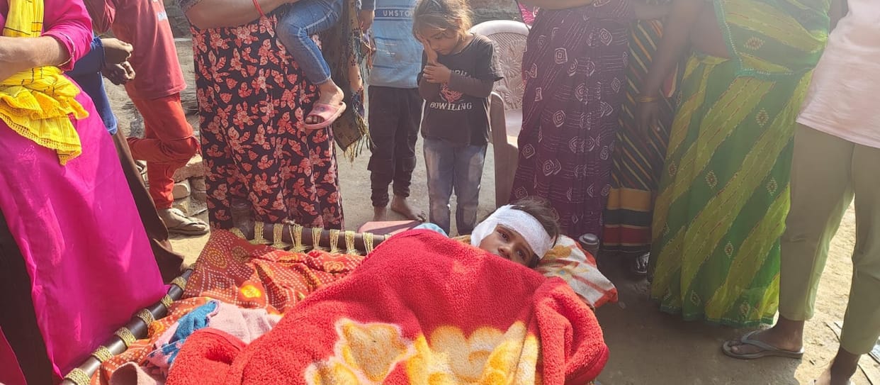A leopard like animal attacked on a girl in Gonda.