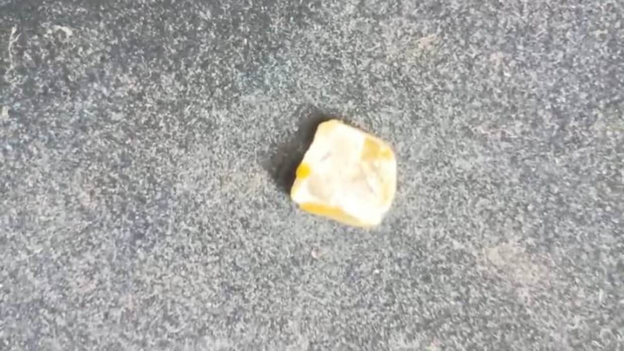 MP News Panna land once again brightened fortunes of farmers 17 carat 11 cent diamond found during excavation