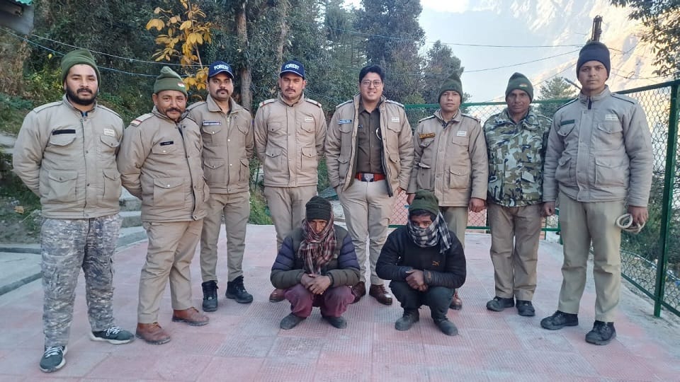 Two arrested with musk deer meat in Joshimath