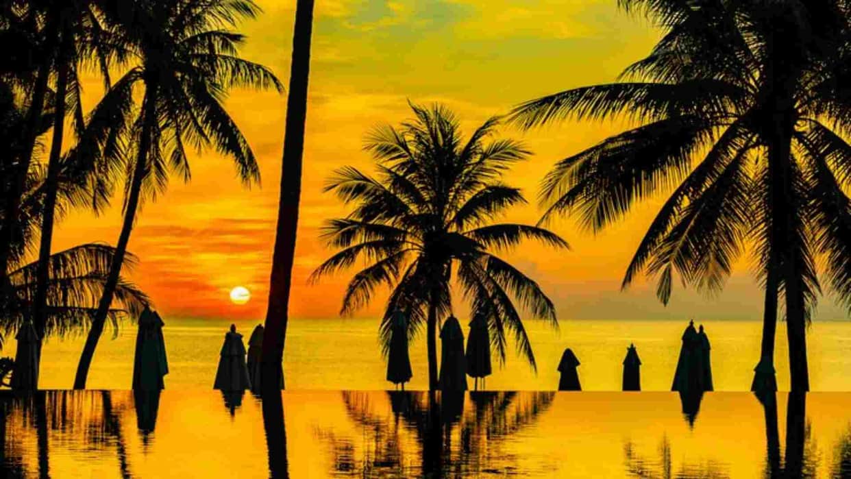 Goa Liberation Day 2024 Date history significance and more details in Hindi