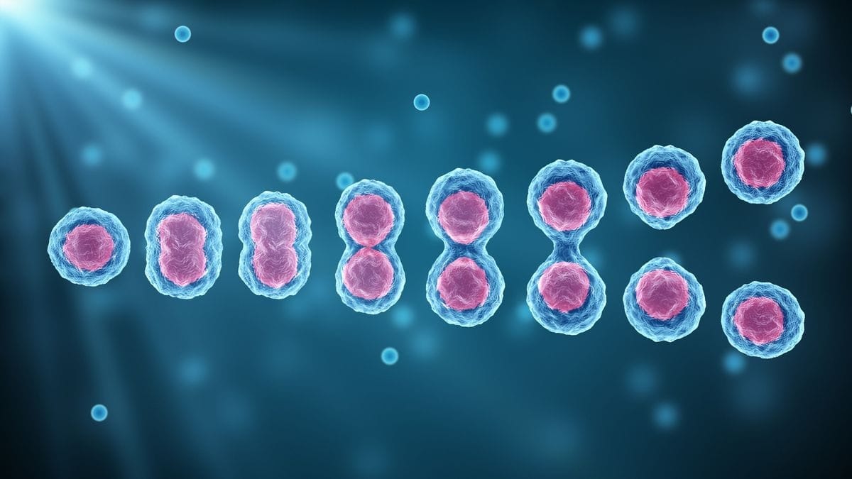 Now rapid accurate and effective treatment will be done with the growth hormones of stem cells