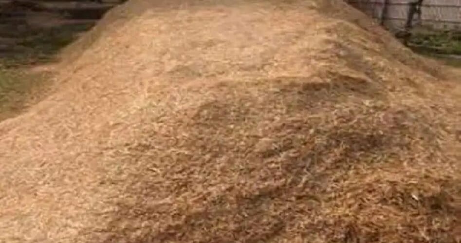 Kanpur Fodder Scam Fodder worth Rs 1.32 crore transported on scooty and motorcycle report has been suppressed