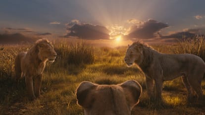 Mufasa The Lion King Review in Hindi by Pankaj Shukla Barry Jenkins Shah Rukh Khan Aaryan Abram Shreyas Sanjay