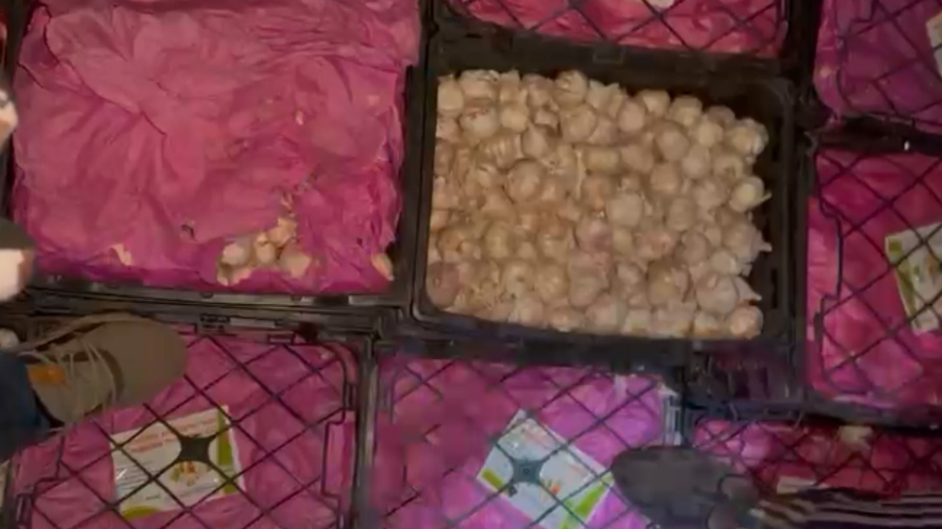 Ratlam: Farmers chased and caught two trucks loaded with Chinese garlic with the help of police