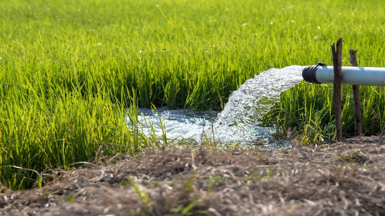 Jhansi: Fraudsters are defrauding farmers on the pretext of solar pump subsidy.