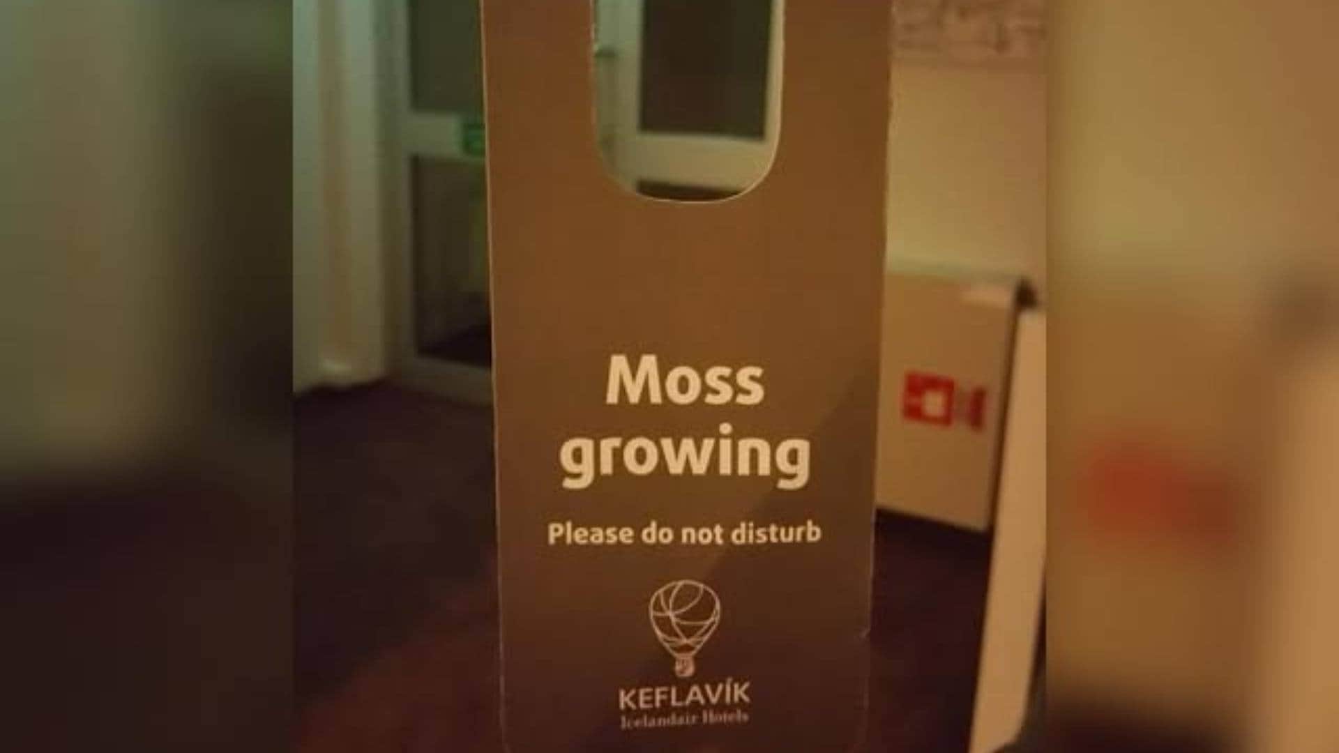 Dilwale completed 9 years since its release Kajol shared some behind the scenes glimpses