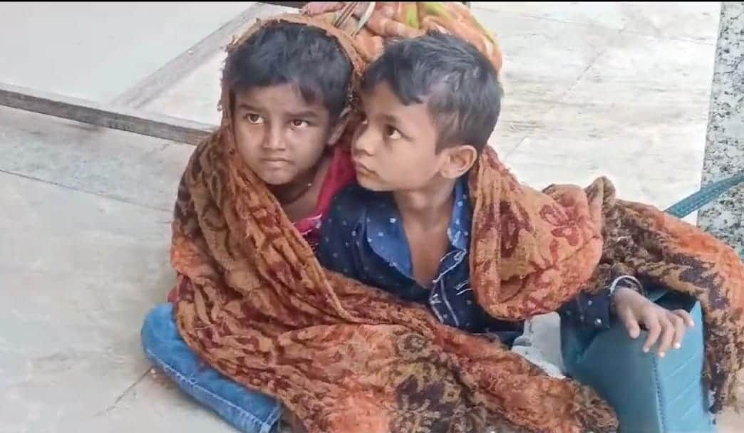 MP News: The havoc of Kodo! 13 people fell ill in two districts in two days