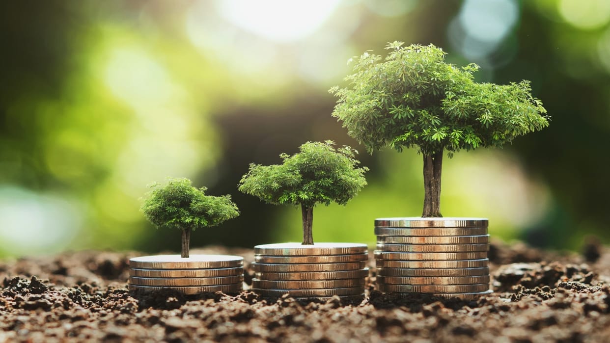 Balanced Investing: Will Natural Rebalancing Grow Your Wealth Safely and Quickly?