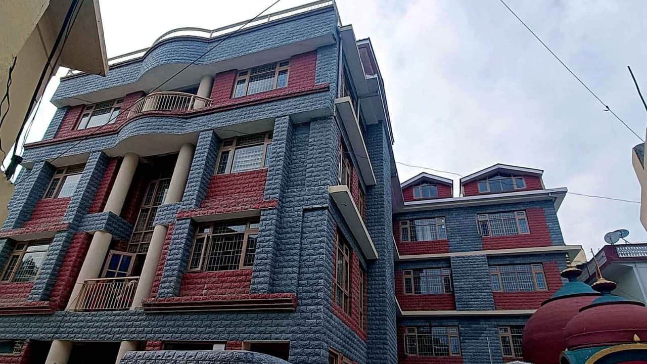 नगर निगम मंडी