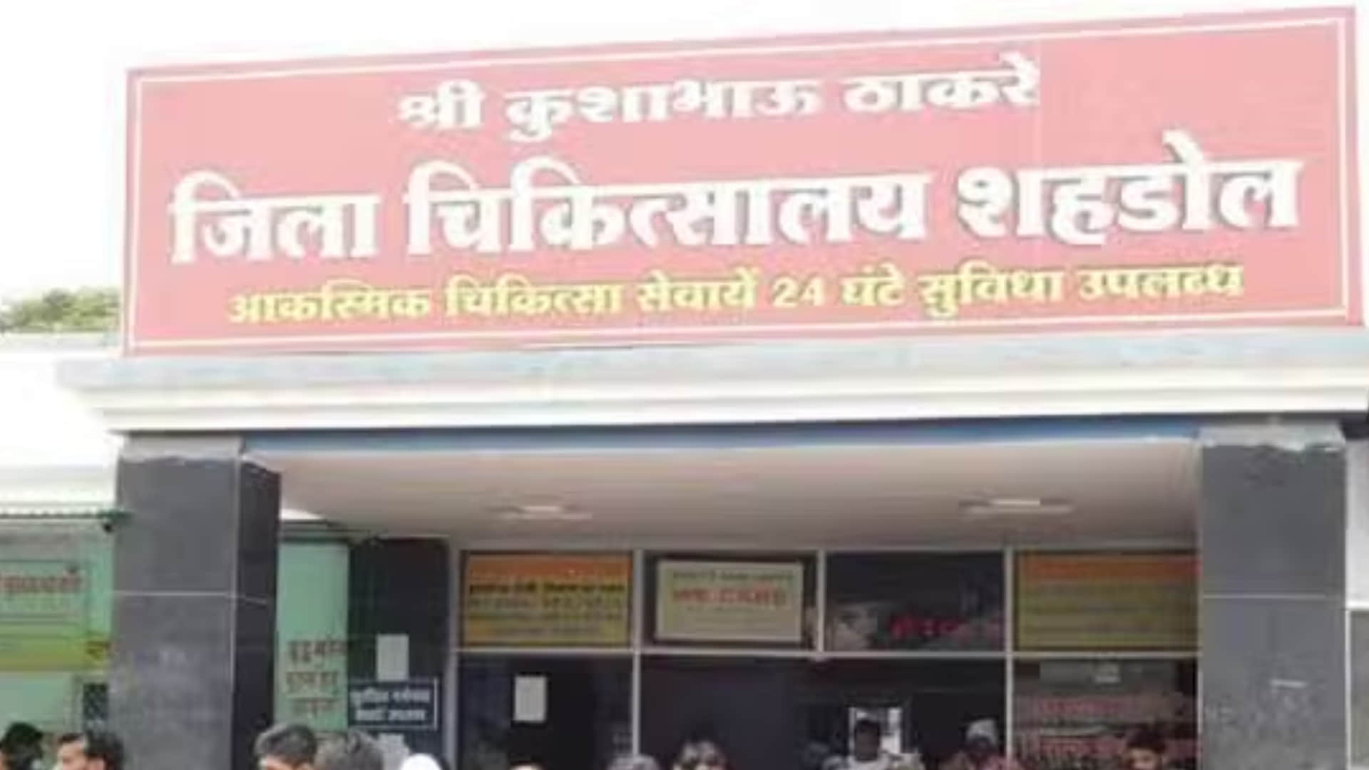 MP News: The havoc of Kodo! 13 people fell ill in two districts in two days