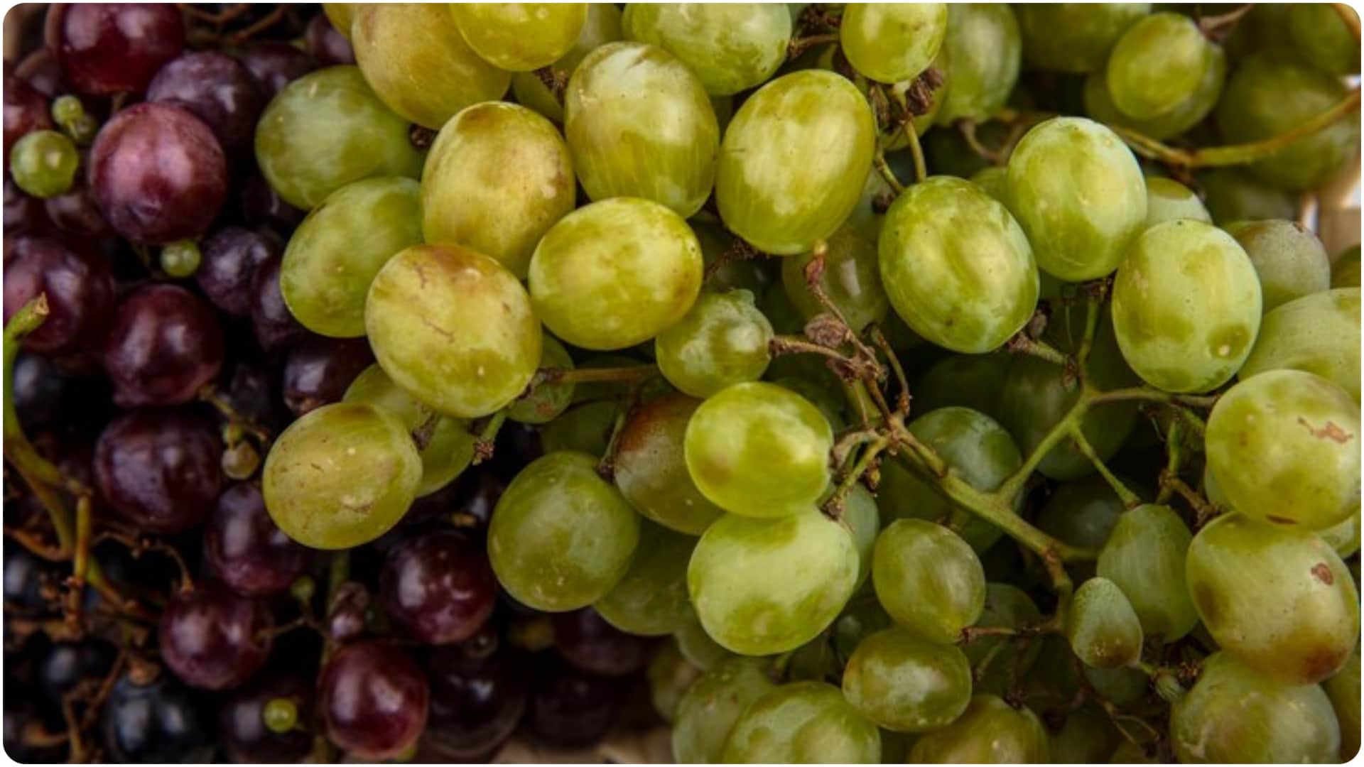 these fruits are very harmful in summer season garmi me kaun se fruits nahi khana chahiye