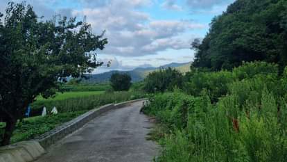 ऐसा रहस्यमयी आइलैंड, जिसे खरीदने वालों की ऐसी हो गई हालत (प्रतीकात्मक तस्वीर)