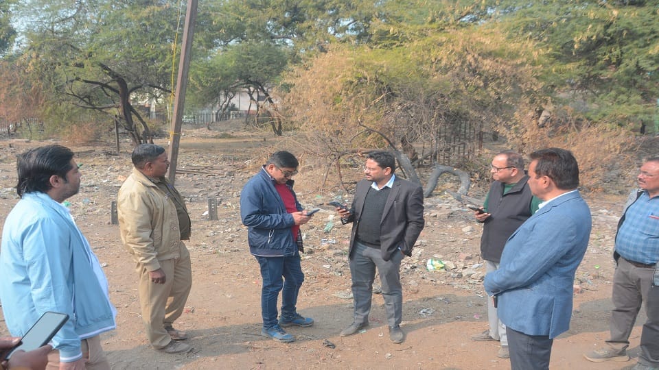After cutting the trees burnt on the spot to destroy evidence
