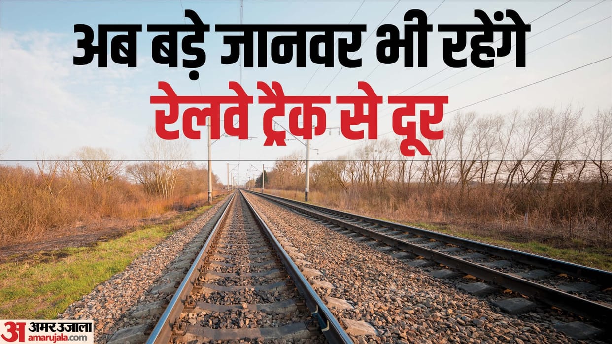 Indian Railways is going to install AI sensors on tracks to prevent incidents of wild animals hitting trains
