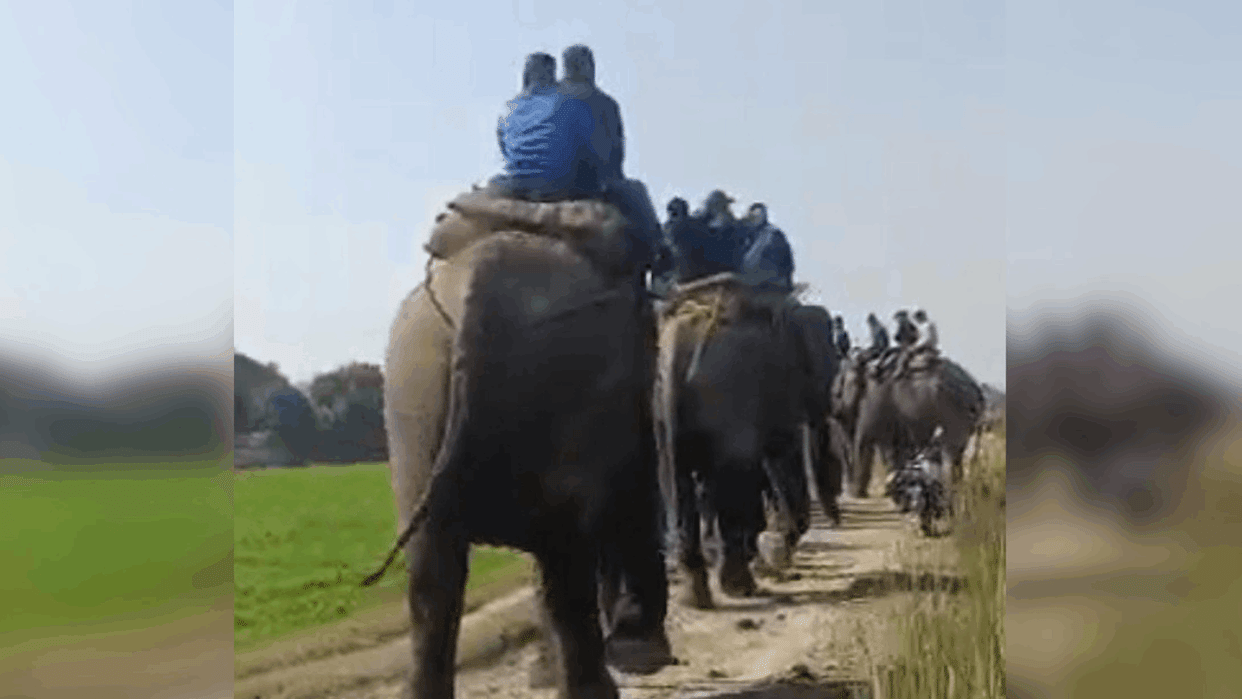 Nepal team reached India-Nepal border to erect pillar with six elephants
