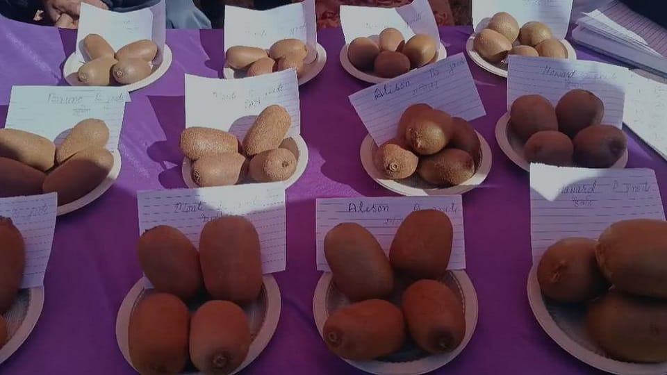 To increase immunity you can eat these fruits rich in vitamin-C in hindi