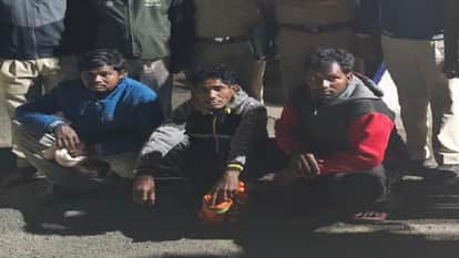 Nilgai hunted in the forest forest department arrested three accused one absconding in Kabirdham