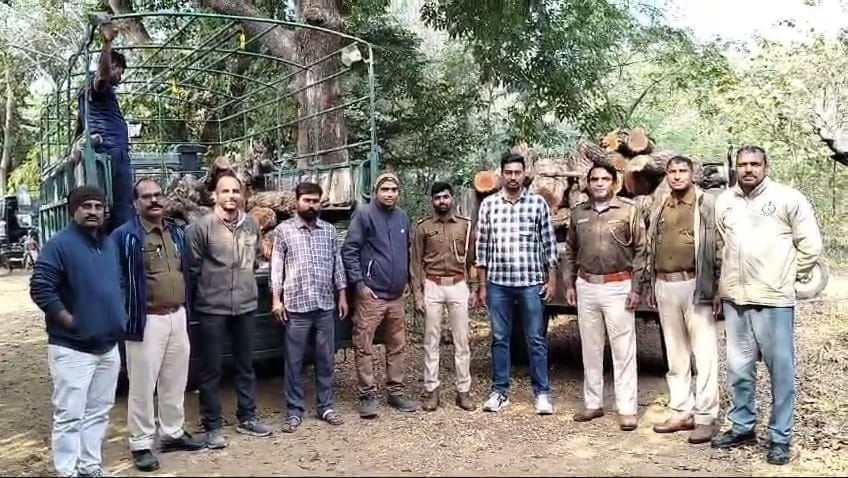 Chittorgarh News: Forest department takes big action against smuggling 6 tonnes of Khair wood seized