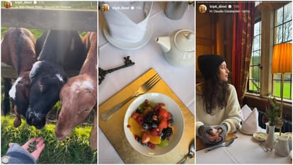 Are triptii dimri enjoying vacation with rumored boyfriend sam merchant shared same location pictures