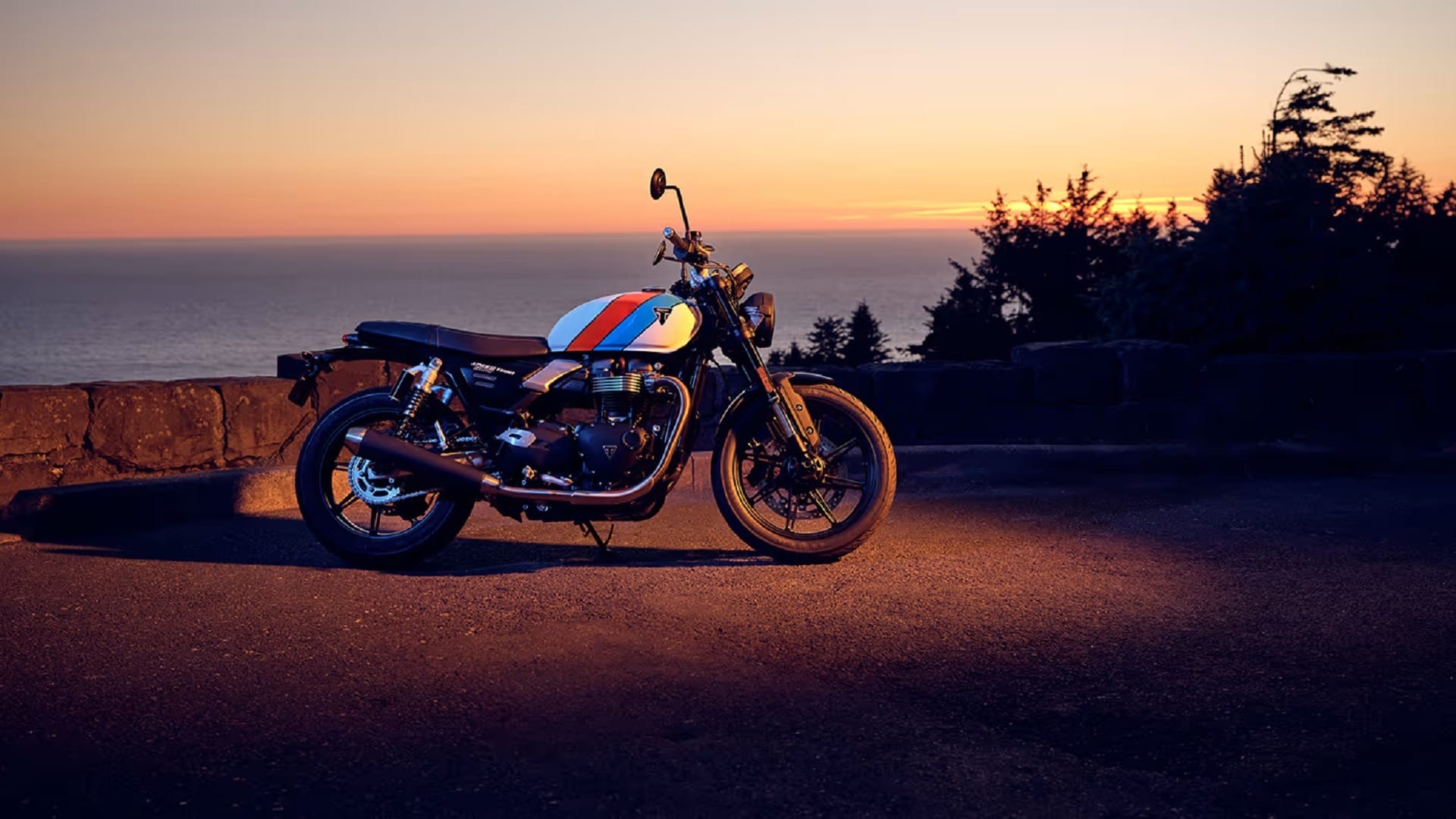 Triumph Motorcycles launches 2025 Triumph Speed Twin 900 motorcycle in India Know Price Features Specification