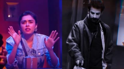 Bigg Boss 18 Isha Singh Avinash mishra Vivian Dsena were eliminated by housemates know the reason