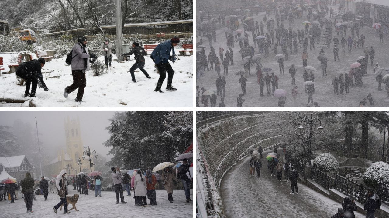 snowfall in himachal pradesh shimla imd weather update on christmas day