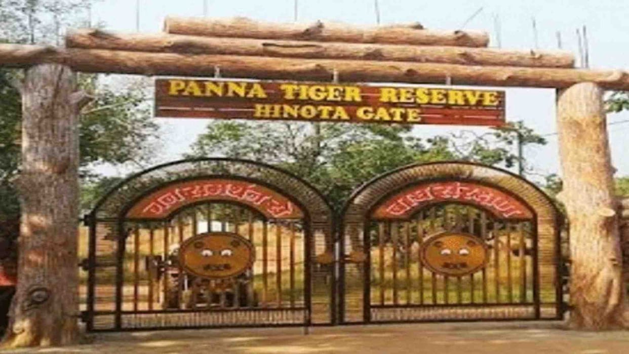 MP News: There may be problems in visiting Panna Tiger Reserve on Christmas and New Year