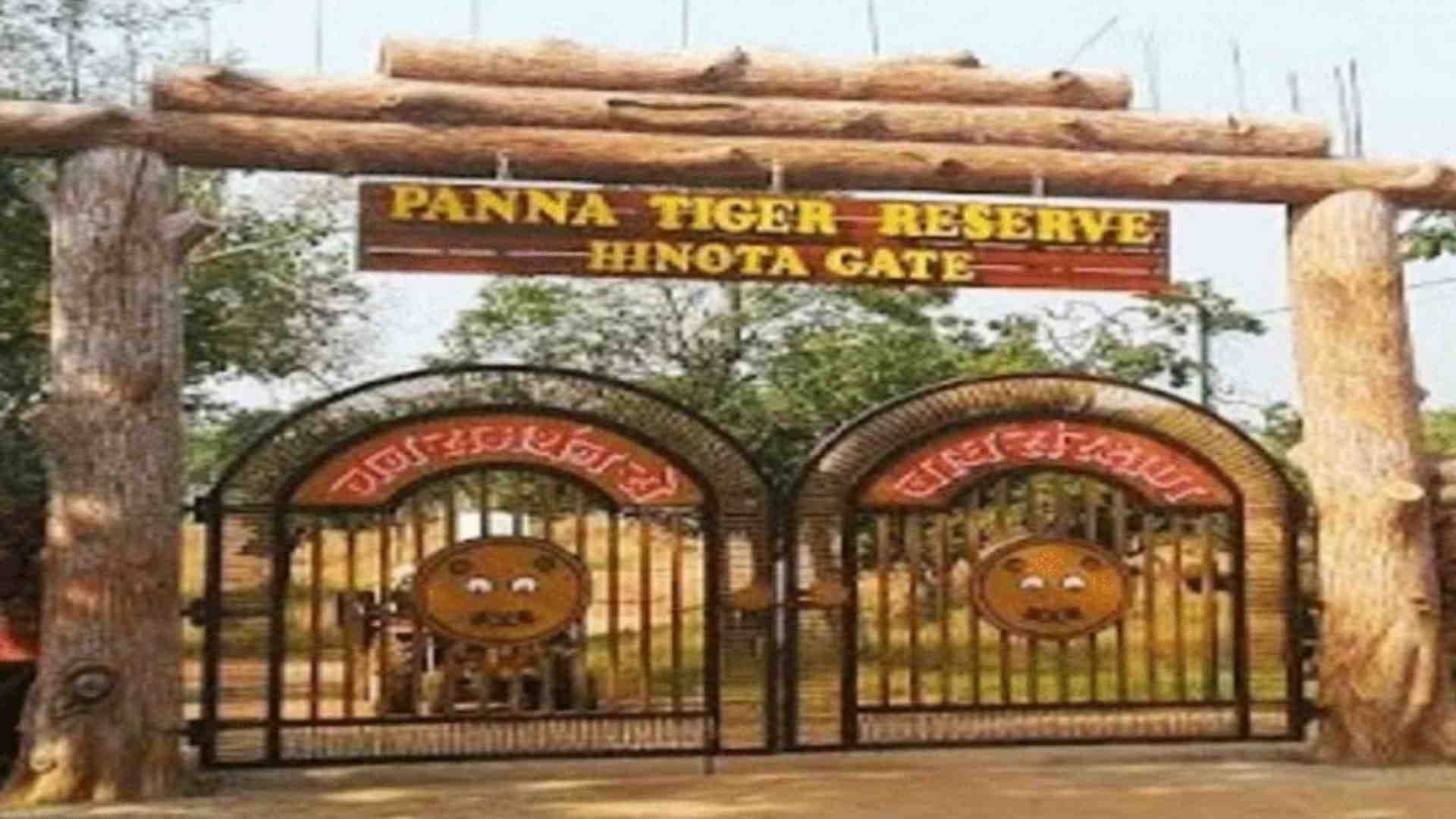 पन्ना टाईगर रिजर्व।