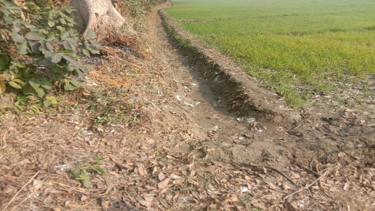Three terrorists of Khalistan Zindabad Force killed in Pilibhit, see pictures of Pilibhit encounter