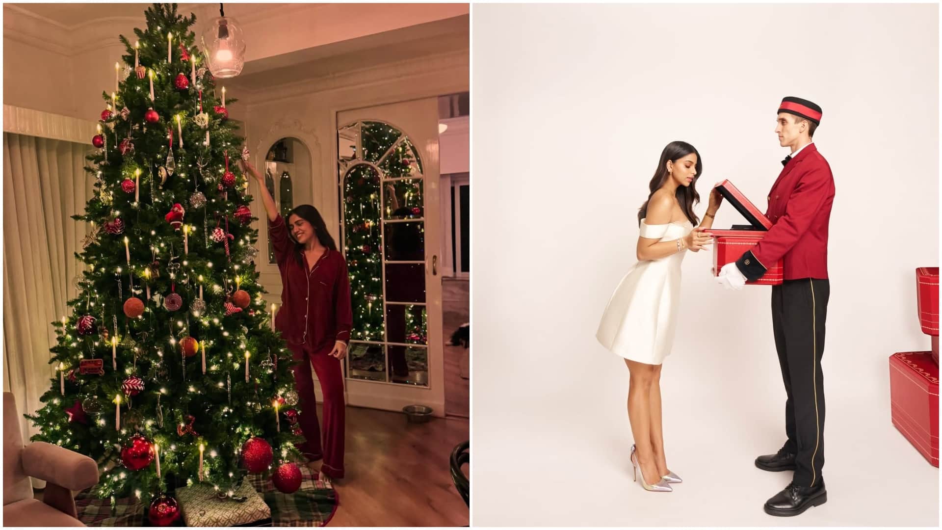 Celebs Christmas Celebration pictures suhana khan avneet kaur bhumi pednekar sharvri wagh alaya f