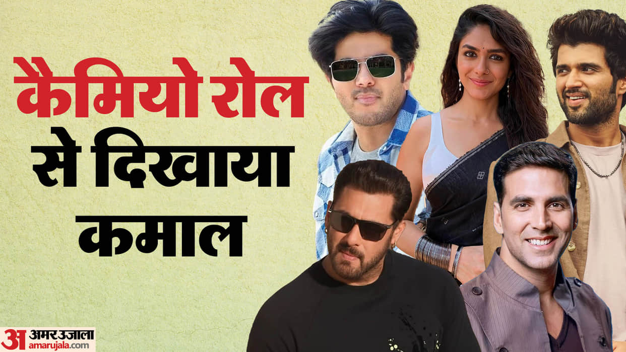 Year Ender 2024 Stars Who Famous From Cameo Role This Year Varun Dhawan Salman Khan Sreeleela
