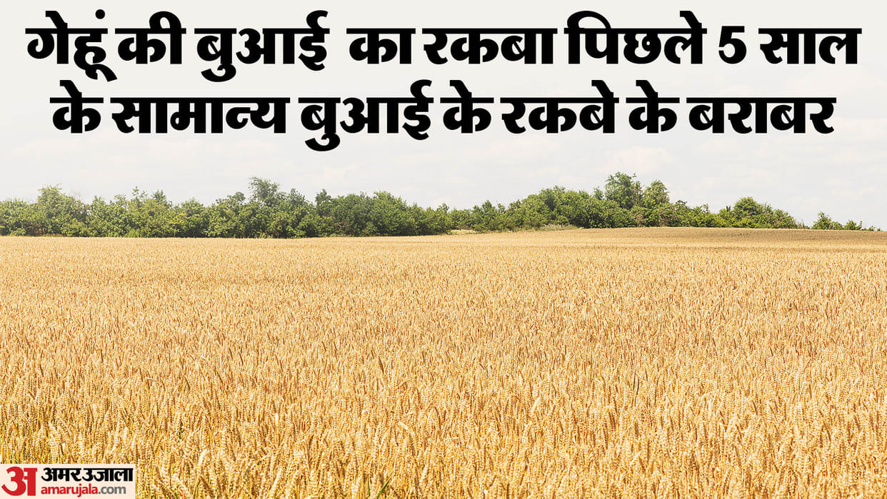 wheat prices are not being controlled even with this step of the Center