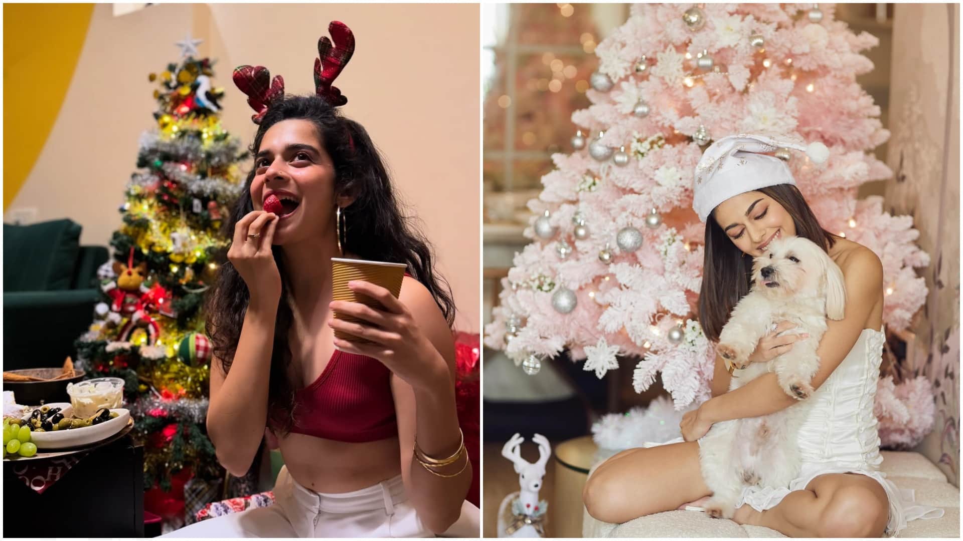 Celebs Christmas Celebration pictures suhana khan avneet kaur bhumi pednekar sharvri wagh alaya f