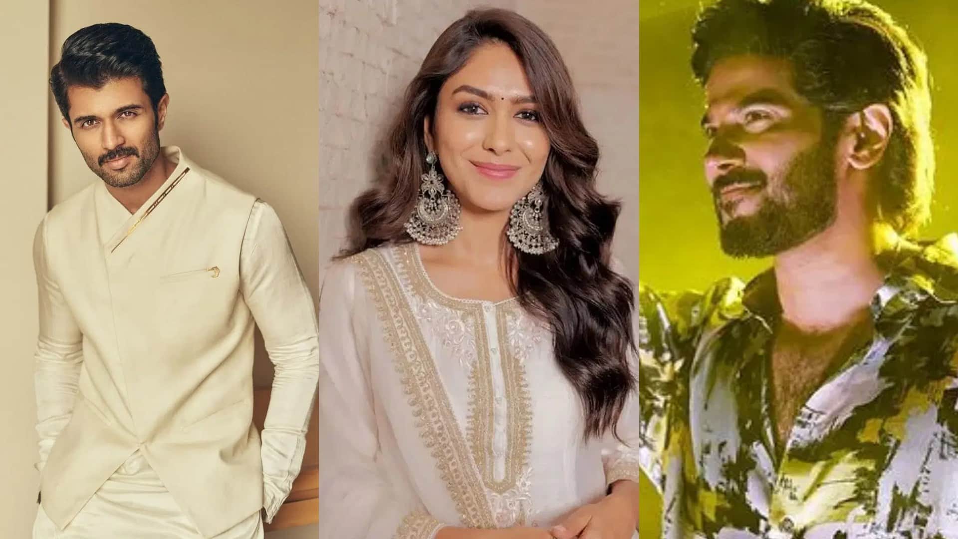 Year Ender 2024 Stars Who Famous From Cameo Role This Year Varun Dhawan Salman Khan Sreeleela