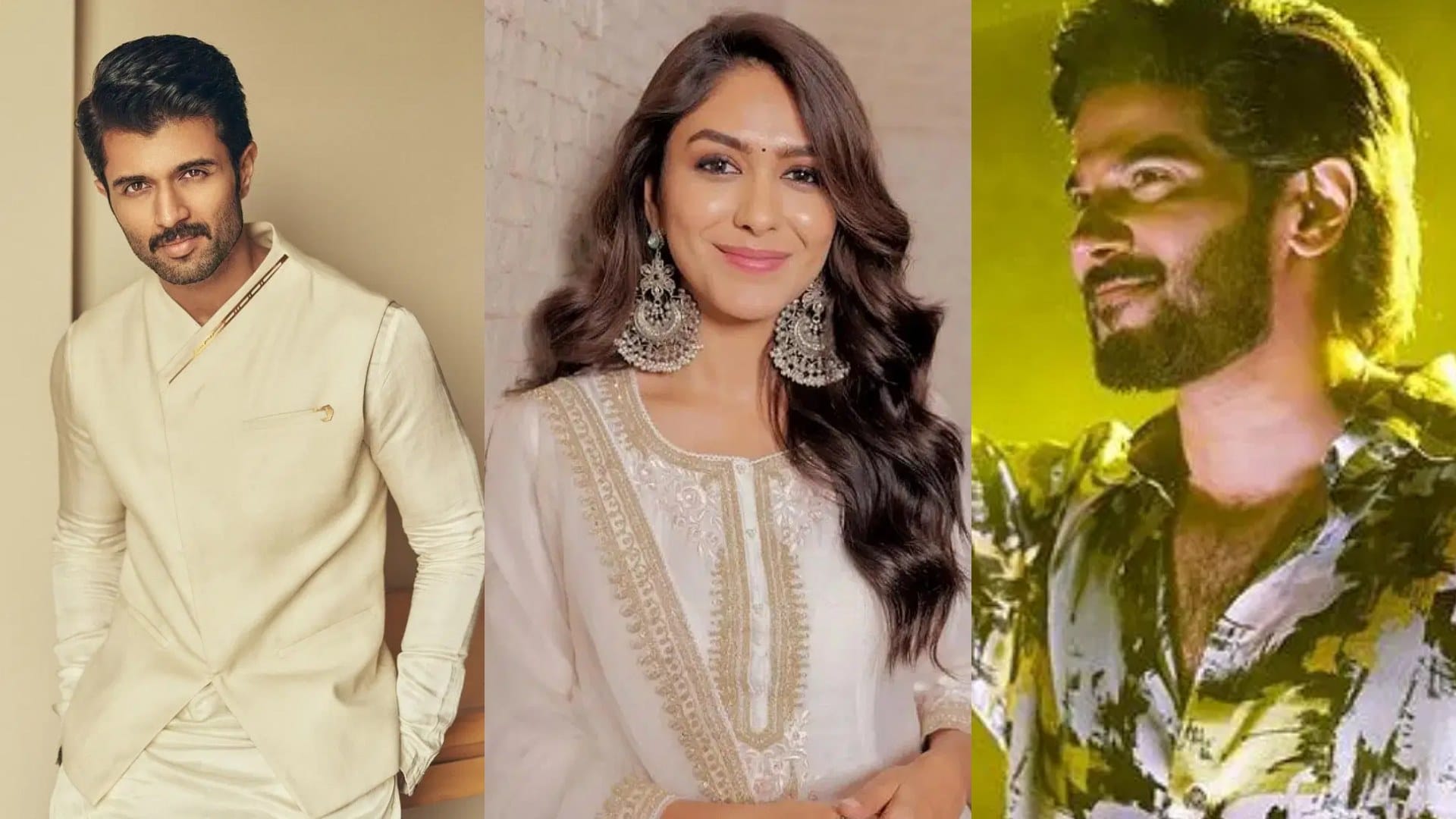 Year Ender 2024 Stars Who Famous From Cameo Role This Year Varun Dhawan Salman Khan Sreeleela