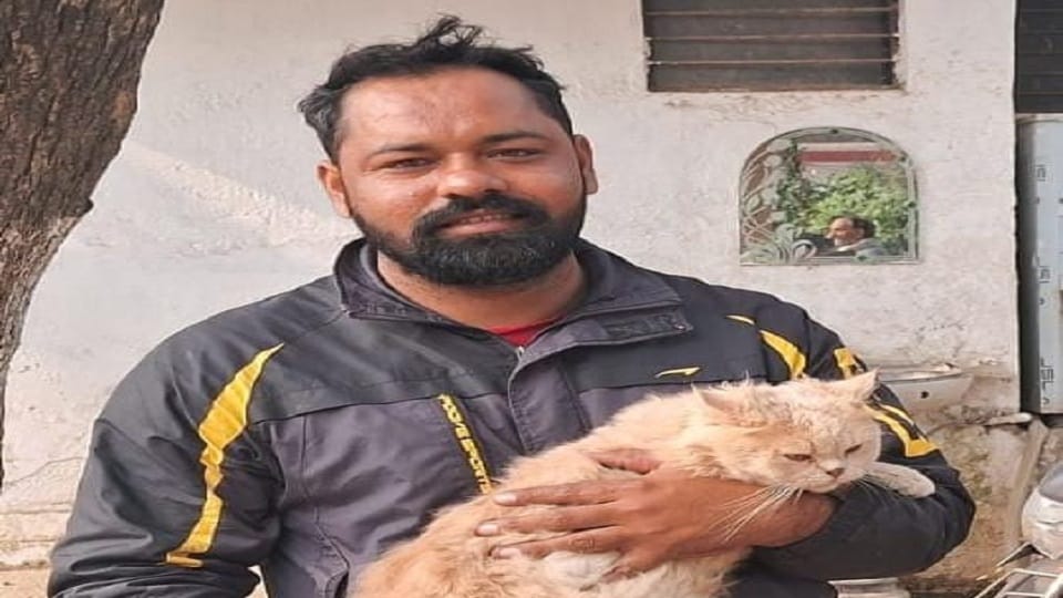 Two parties clashed for hours in the police station over the ownership rights of the cat.