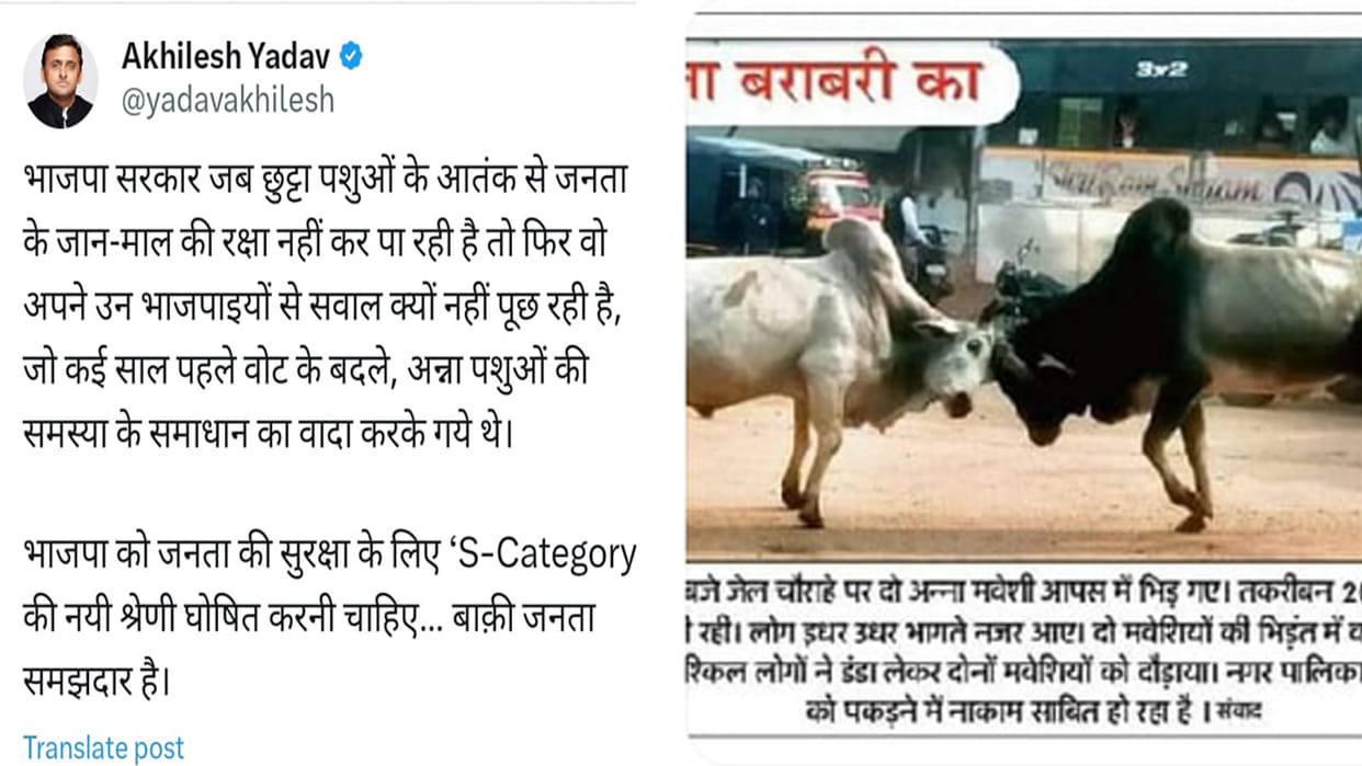 Akhilesh Yadav tweeted on Amar Ujala's news, Advised to declare a new category for security