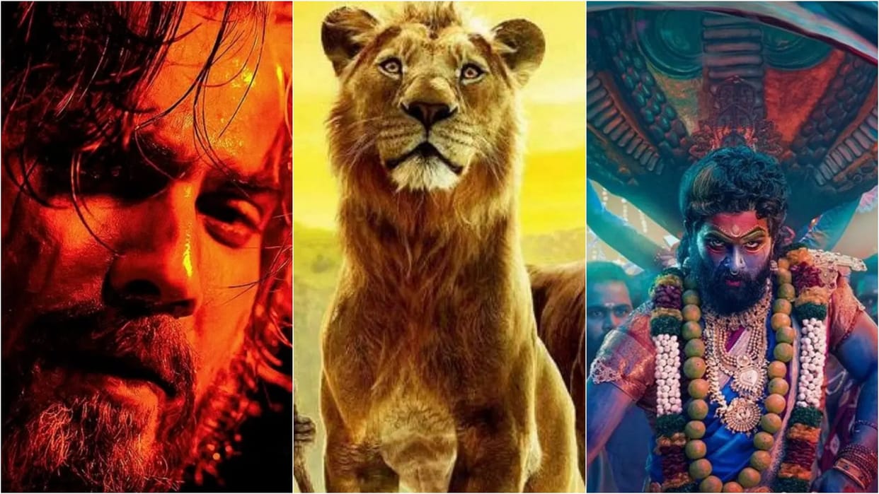 Box Office Collection Report Wednesday Baby John Mufasa The Lion King Pushpa 2 The rule