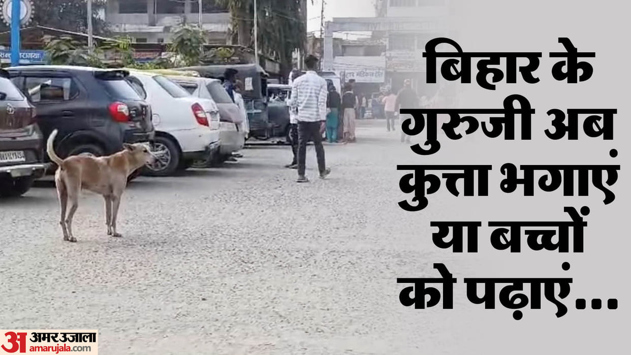 Bihar government teachers should now deal with stray dogs keep them away from children and schools
