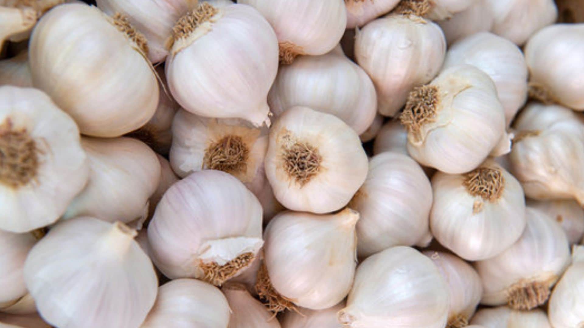 how to peel garlic easily at home step by step guide in hindi