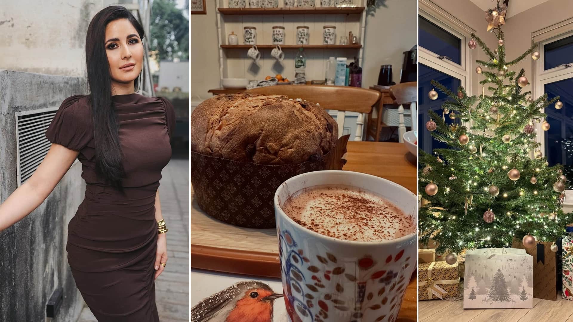 Katrina Kaif Vicky Kaushal Christmas Party Adorable Santa Claus Beautiful Tree All The Gifts