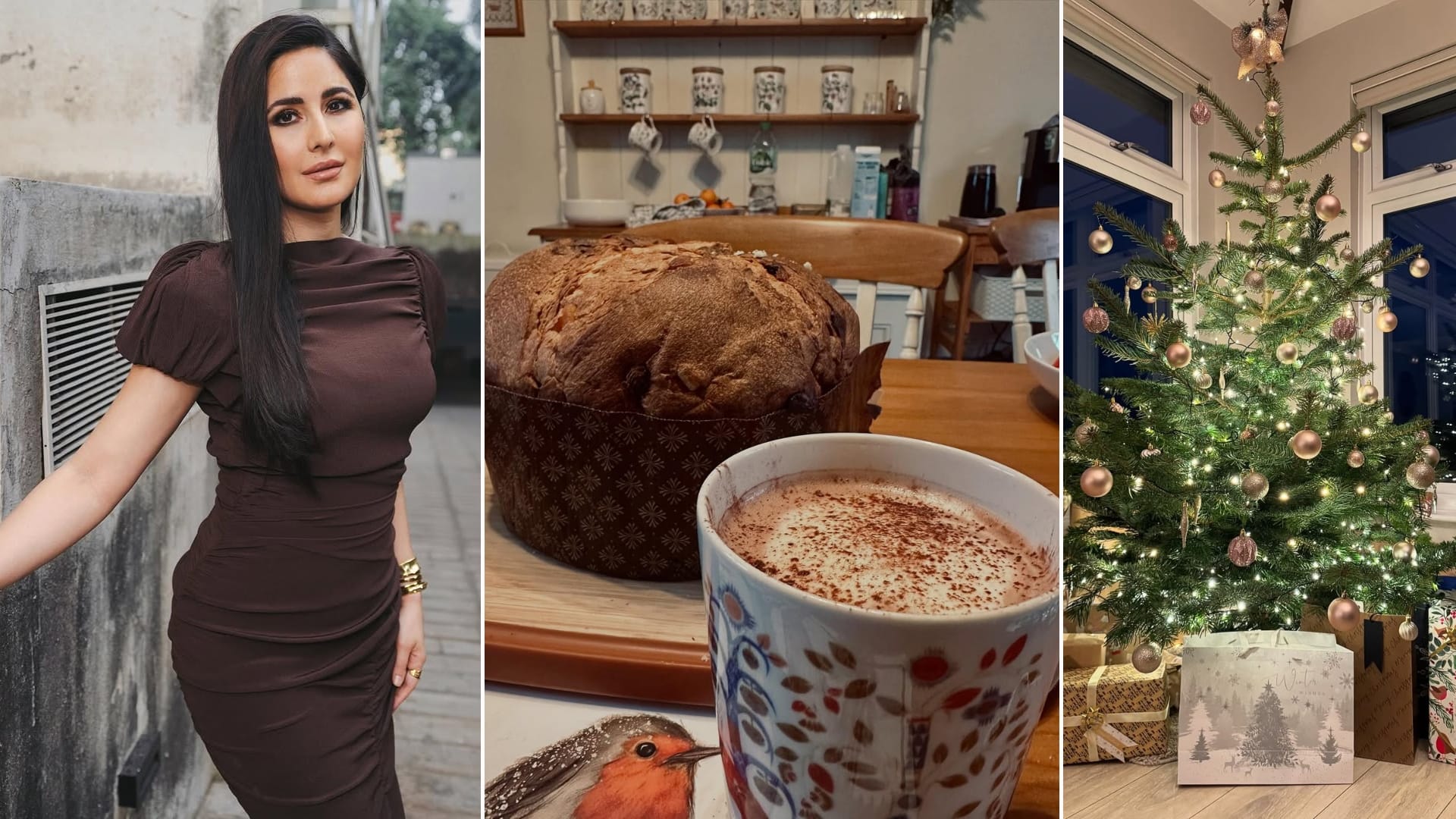 Katrina Kaif Vicky Kaushal Christmas Party Adorable Santa Claus Beautiful Tree All The Gifts