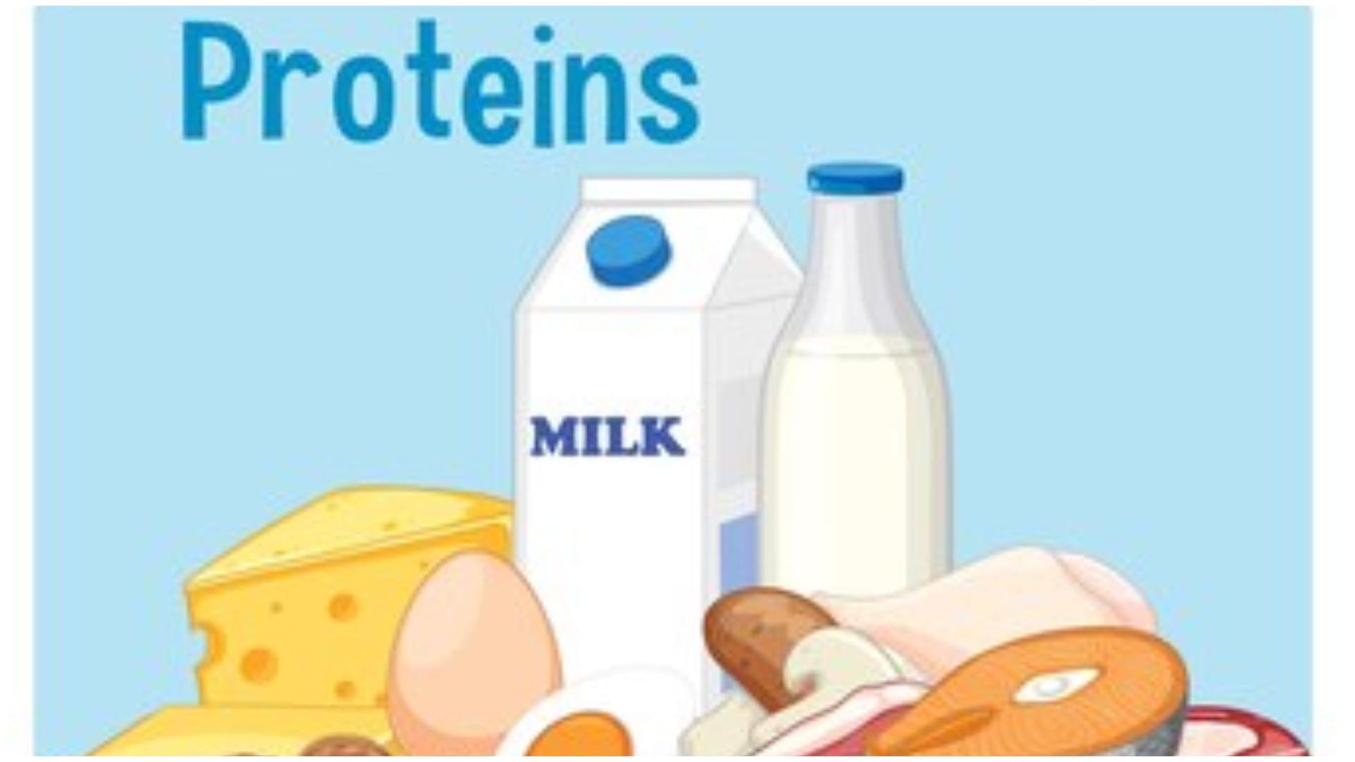 why protein is important for body what happens in protein deficiency know its symptoms