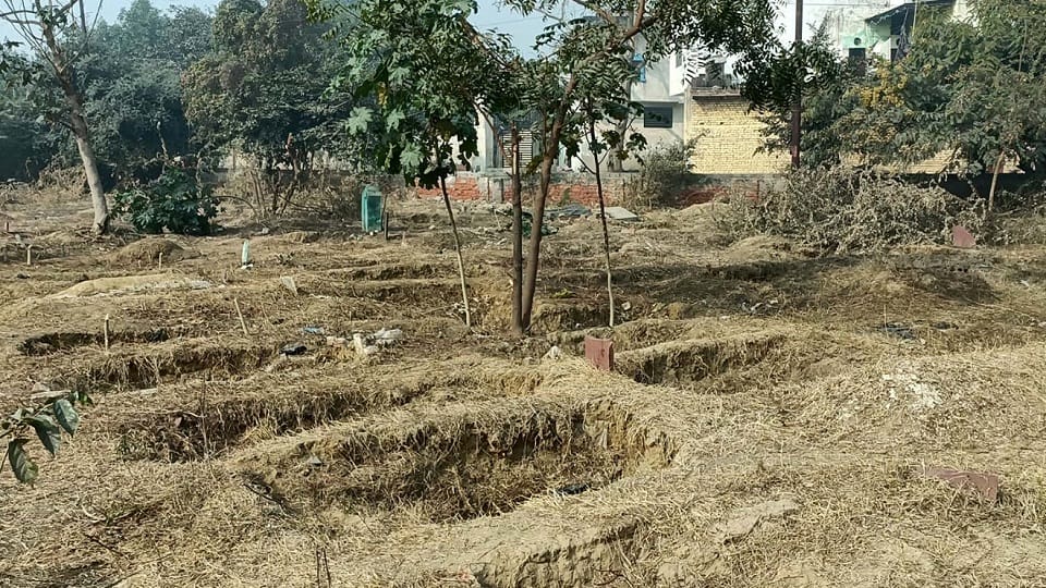 कब्रिस्तान। सांकेतिक तस्वीर।